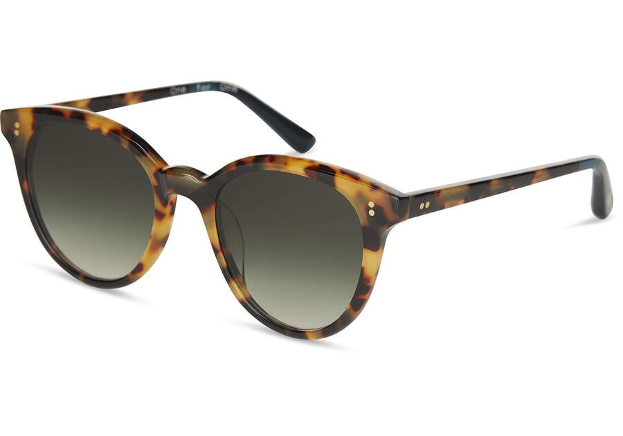 Toms Aaryn Sonnenbrille Damen Tiefesolivgrün Schweiz | Bestellen Schweiz526-478