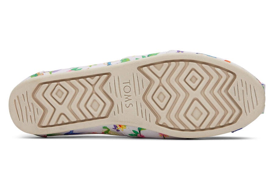 Toms Alpargata Hummingbirds Alpargatas Damen Grau Schweiz | Bestellen Schweiz298-883