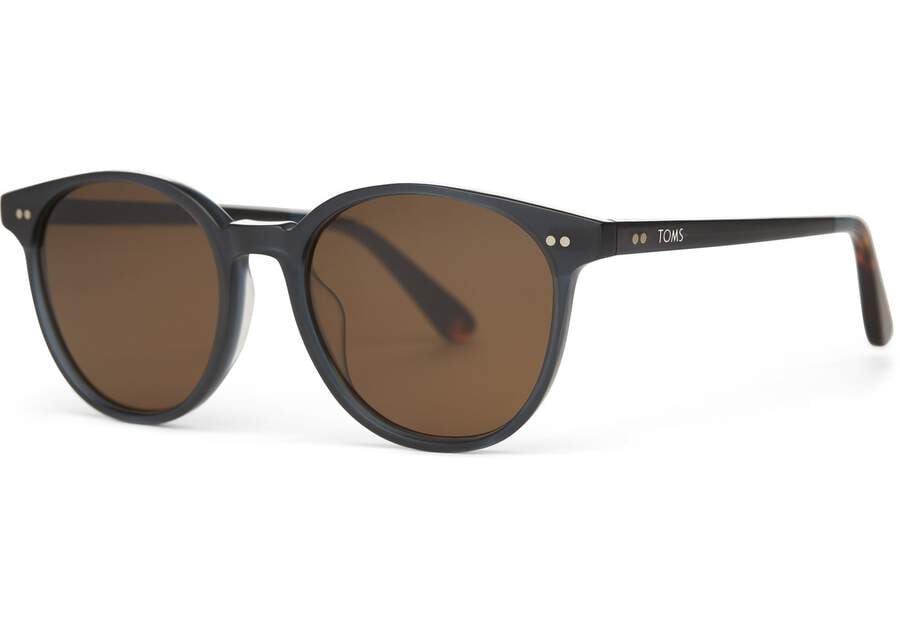 Toms Bellini Sonnenbrille Damen Schwarz Türkis Braun Schweiz | Bestellen Schweiz684-523