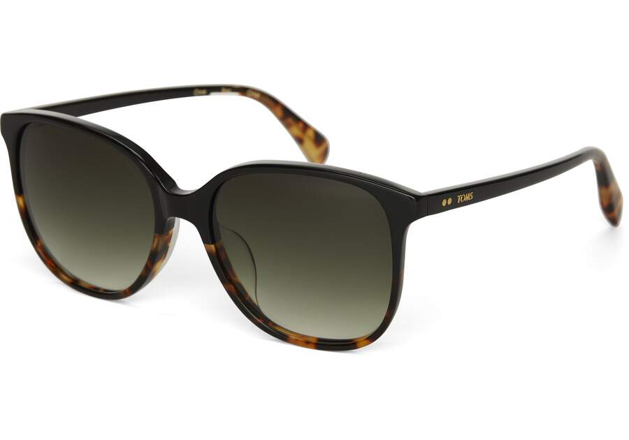 Toms Sandela Sonnenbrille Damen Schwarz Olivgrün Schweiz | Bestellen Schweiz788-787