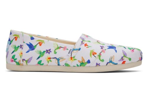 Toms Alpargata Hummingbirds Alpargatas Damen Grau Schweiz | Bestellen Schweiz298-883