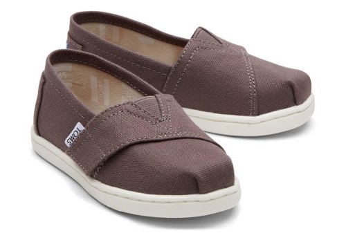 Toms Tiny Alpargata Canvas Alpargatas Kinder Grau Schweiz | Bestellen Schweiz977-722