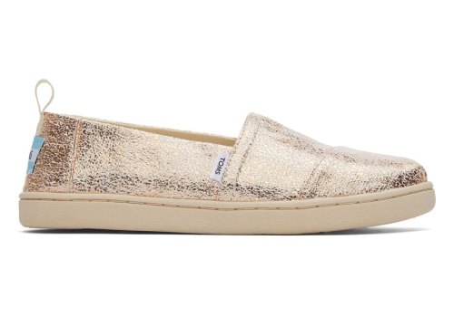 Toms Youth Alpargata Foil Alpargatas Kinder Gold Schweiz | Bestellen Schweiz723-687